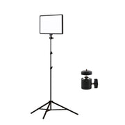 Luce di riempimento LED 10 pollici 3000-6500K per fotografia