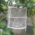 Trappola per mosche domestica Fly Catcher 26x32 cm