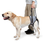 Cintura da viaggio ausiliaria per decompressione della cinghia ausiliaria della gamba posteriore del cane per cani anziani e feriti, S, M, L