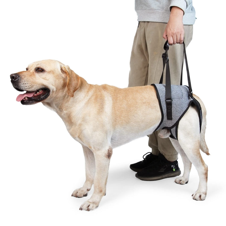 Cintura da viaggio ausiliaria per decompressione della cinghia ausiliaria della gamba posteriore del cane per cani anziani e feriti, S, M, L
