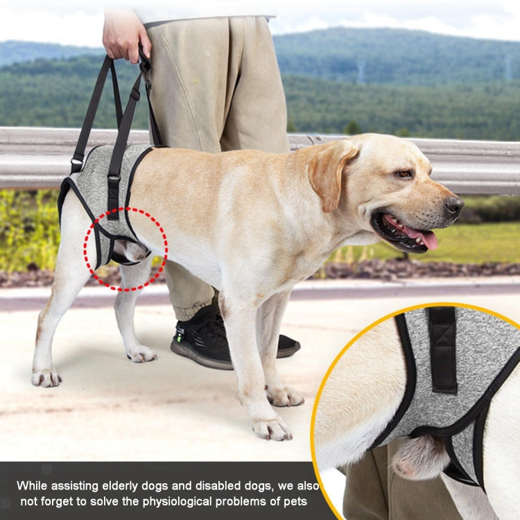 Cintura da viaggio ausiliaria per decompressione della cinghia ausiliaria della gamba posteriore del cane per cani anziani e feriti, S, M, L