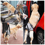 Cintura da viaggio ausiliaria per decompressione della cinghia ausiliaria della gamba posteriore del cane per cani anziani e feriti, S, M, L