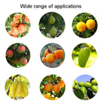 Strumenti per la raccolta della frutta con raccoglitore di frutta aereo in acciaio inossidabile, With Rod 4 Sections 1.6m, With Rod 6 Sections 2.4m, With Rod 9 Sections 3.6m, With Rod 10 Sections 4m