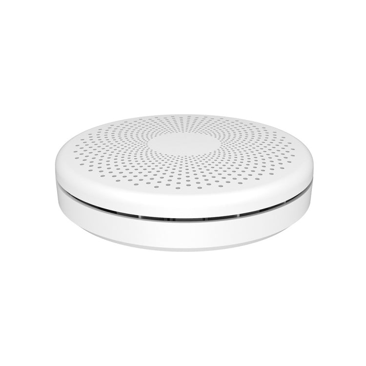 Rilevatore fumo e monossido di carbonio WiFi RH-WS11-W