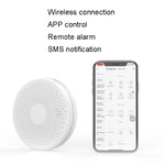 Rilevatore fumo e monossido di carbonio WiFi RH-WS11-W