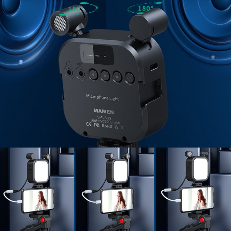 Kit luce riempimento e microfono per smartphone compatibili