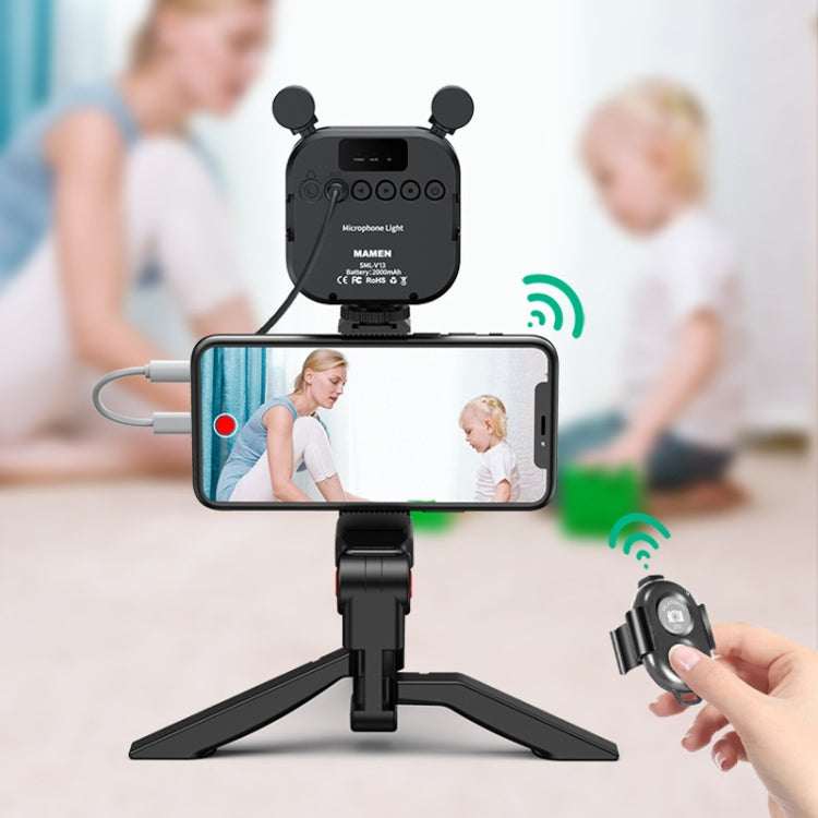 Kit luce riempimento e microfono per smartphone compatibili