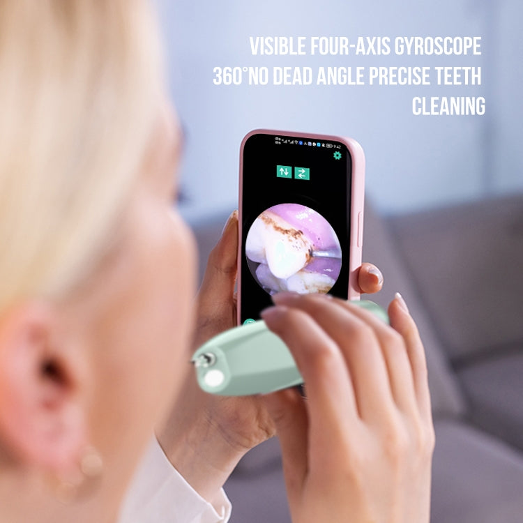 FY-B700 Visual Ultrasonic Scaler Tartaro Calcolo Dente Stain Remover Strumento di bellezza dentale, Blue Gradient, Red Blue Gradient