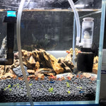Ossigenatore pneumatico per filtro pneumatico per acquario per acquario piccolo, MB-201
