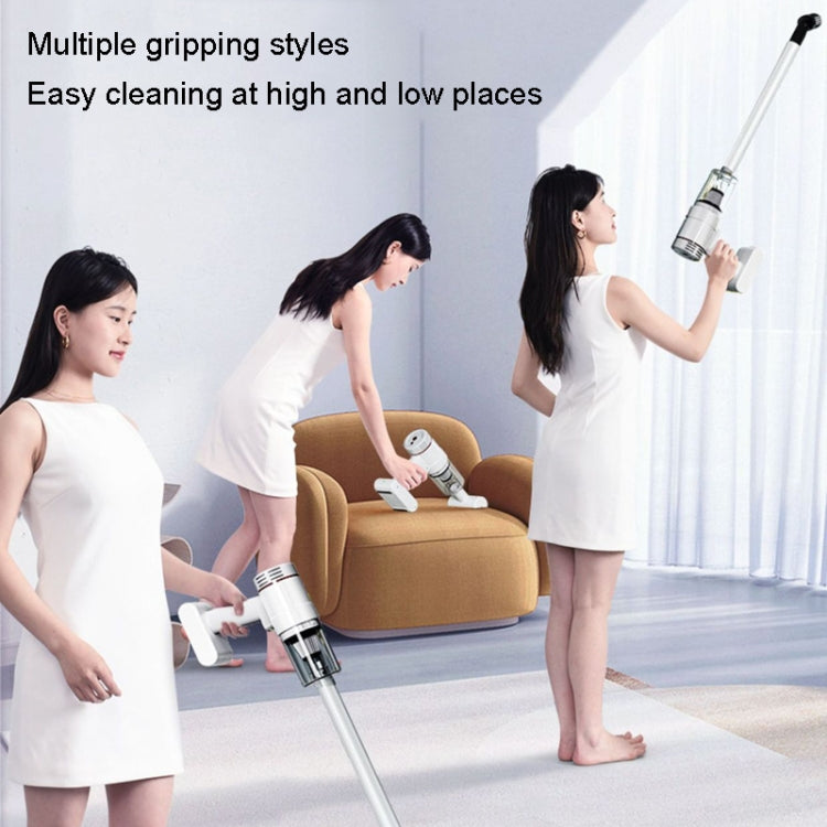 Aspirapolvere senza spazzole portatile senza fili per auto, LT-116C Basic, LT-116C Basic+Metal Filter, LT-116C Basic+Metal Filter+Cloth Bag, LT-116EG Luxury, LT-116CG Luxury+Metal Filter+Large Floor Brush+Cloth Bag
