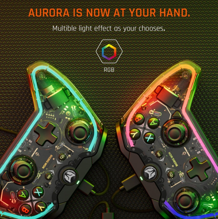 Controller cablato RGB per Nintendo Switch e PC