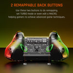 Controller cablato RGB per Nintendo Switch e PC