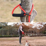 Corda per addestramento cani in nylon 1,5-10 metri