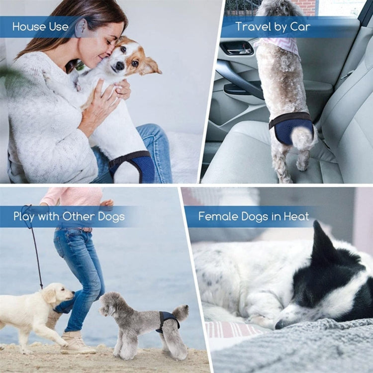 Pantaloni fisiologici per cani traspiranti Pantaloni mestruali Pantaloni sanitari anti-molestie, Blue S: 24-32cm, Blue M: 35-43cm, Blue L: 40-49cm, Blue XL: 50-59cm, Black S: 24-32cm, Black M: 35-43cm, Black L: 40-49cm, Black XL: 50-59cm