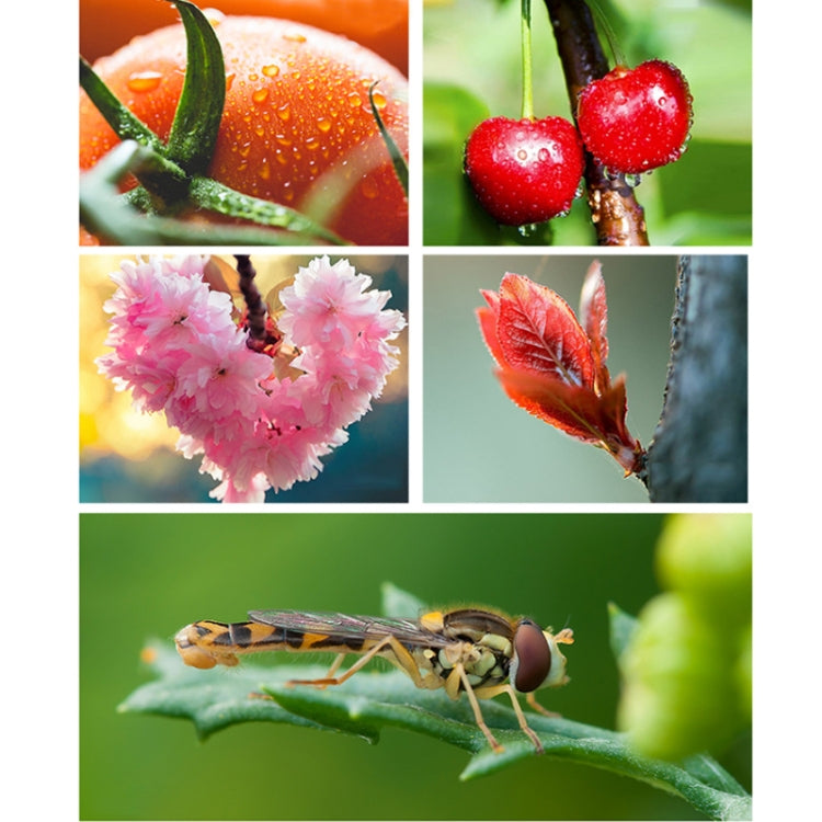 Obiettivo macro esterno APEXEL HD 100mm per smartphone