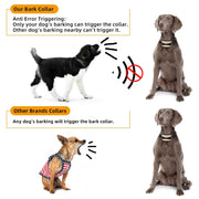 Collare antiabbaio per cani impermeabile ricaricabile USB con vibrazione e segnale acustico, Gold