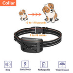Recinto elettrico per cani 2 in 1 con collare da 500 m
