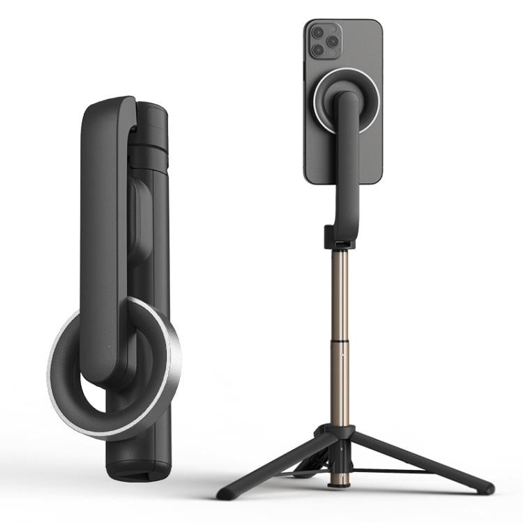 Asta stabilizzatrice portatile con telecomando Bluetooth