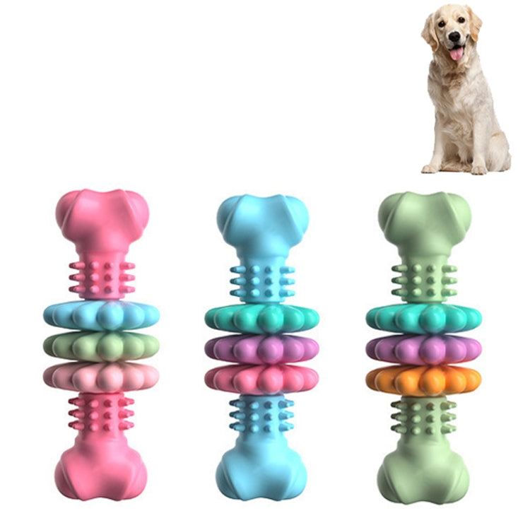 BG5056 TPR Giocattoli da masticare per animali domestici Bastone per dentizione per cani a forma di osso, BG5056 (Blue), BG5056 (Pink), BG5056 ( Green)
