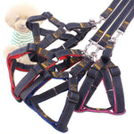 Set guinzaglio e pettorale in denim per cani S-XL