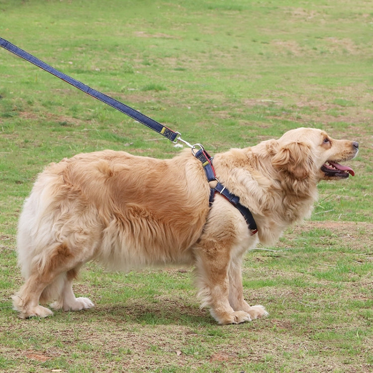 Set guinzaglio e pettorale in denim per cani S-XL