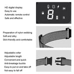Collare elettrico cane PT221 con display digitale e 3 modalità