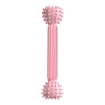BG-5011 2 pz TPR Dentizione Stick Cane Giocattolo Bilanciere Forma Pet Masticare Denti Bastone di Pulizia