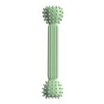 BG-5011 2 pz TPR Dentizione Stick Cane Giocattolo Bilanciere Forma Pet Masticare Denti Bastone di Pulizia