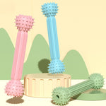 BG-5011 2 pz TPR Dentizione Stick Cane Giocattolo Bilanciere Forma Pet Masticare Denti Bastone di Pulizia