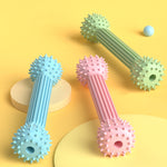 BG-5011 2 pz TPR Dentizione Stick Cane Giocattolo Bilanciere Forma Pet Masticare Denti Bastone di Pulizia