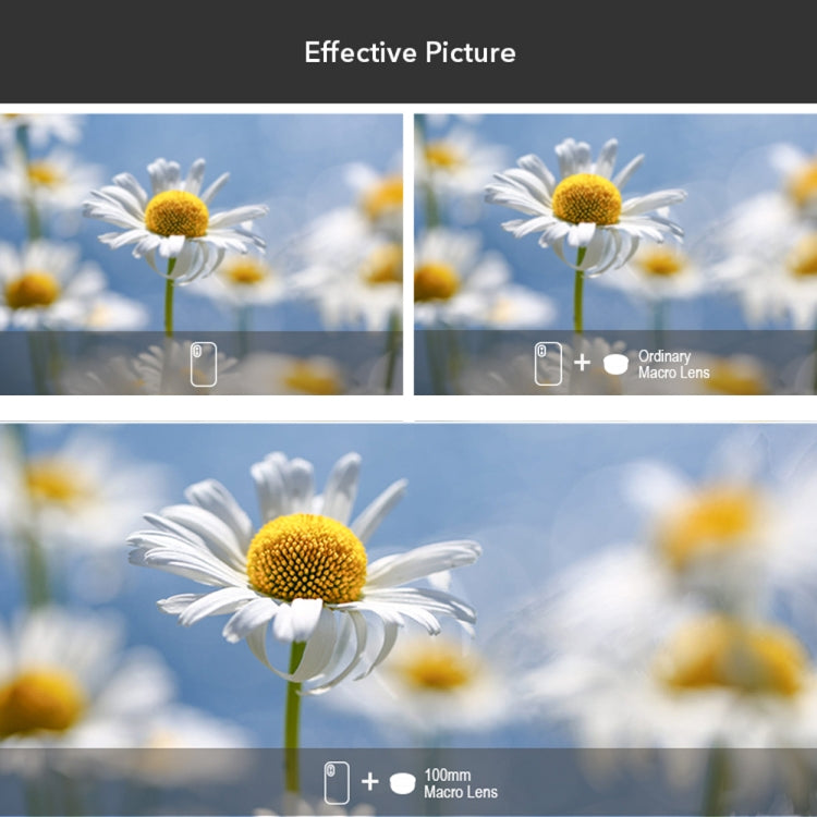 Obiettivo macro APEXEL 100mm per smartphone compatibili