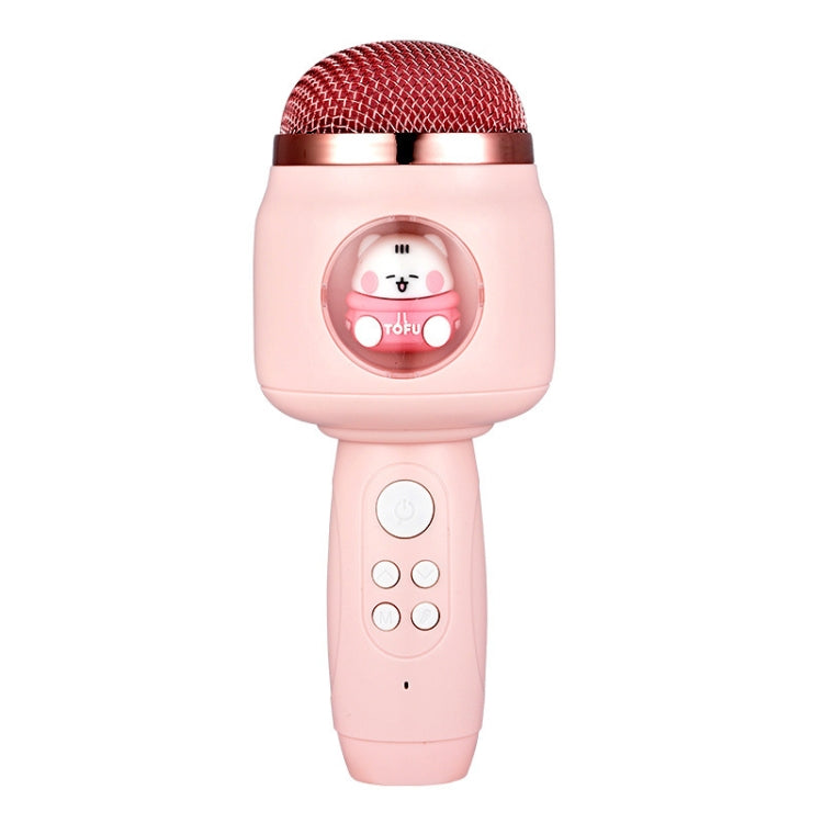 Microfono wireless Bluetooth per bambini con eco
