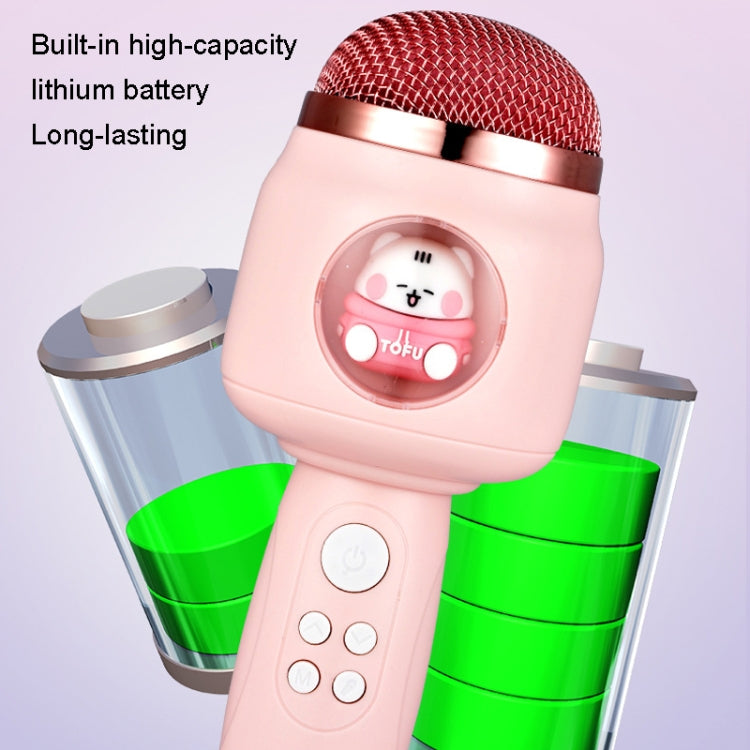 Microfono wireless Bluetooth per bambini con eco