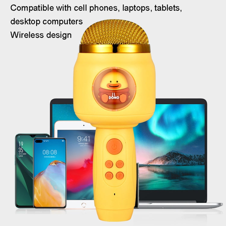 Microfono wireless Bluetooth per bambini con eco