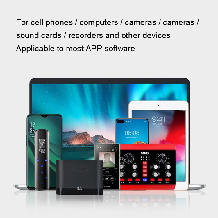 Microfono wireless 1 in 2 per interviste e trasmissioni