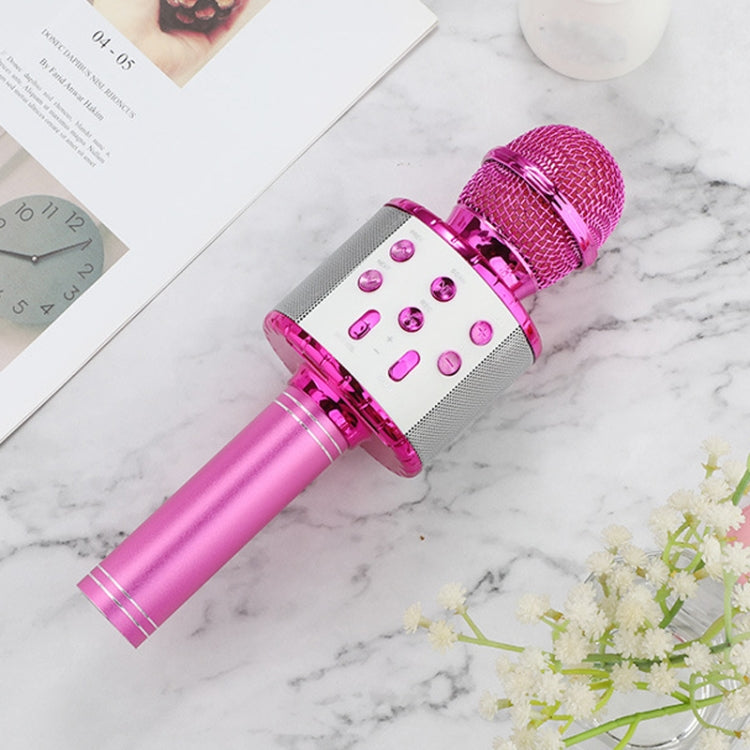 Microfono wireless Bluetooth WS-858L con LED e riverbero