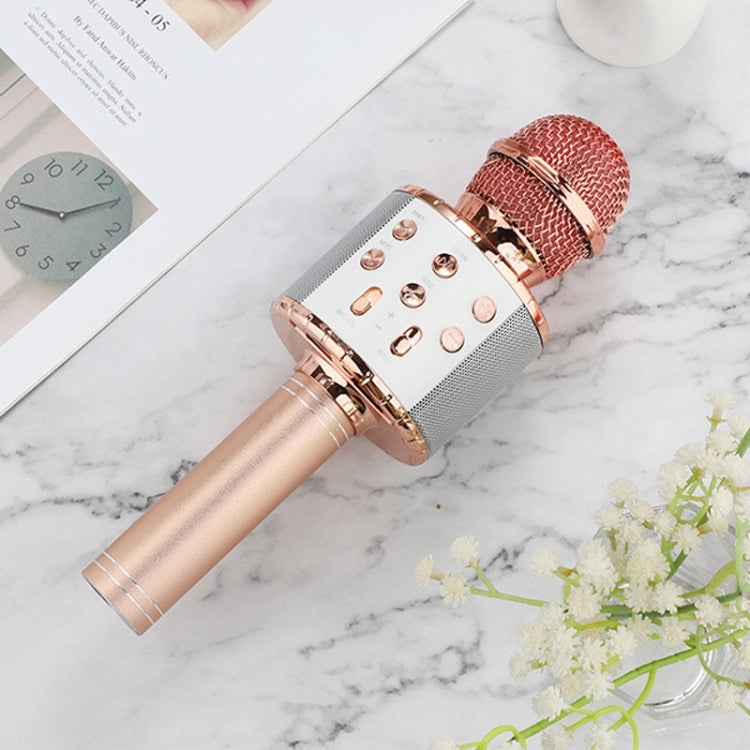 Microfono wireless Bluetooth WS-858L con LED e riverbero