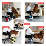 Set spazzole per rimozione peli animali per aspirapolvere Dyson