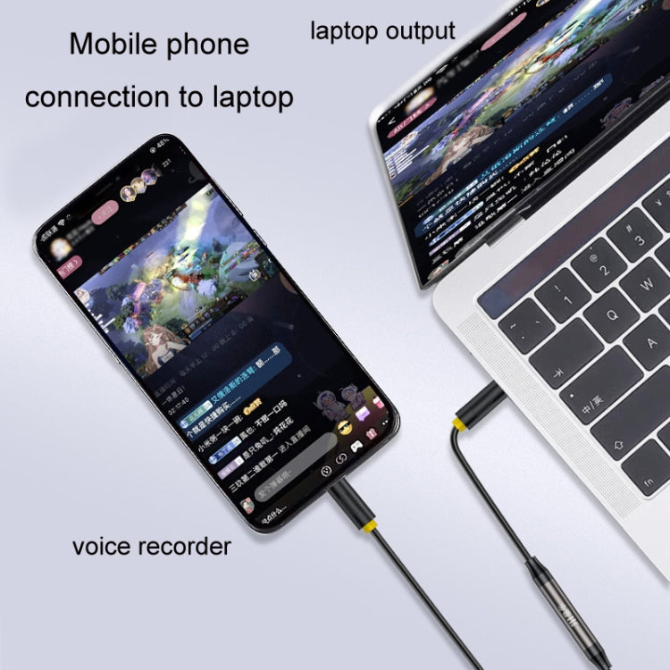 JINGHUA cavo da 3,5 mm conversione audio microfono trascrittore bidirezionale, 1m