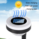 Lampada da terra LED solare doppia sorgente per esterni