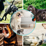 Addestratore Cani ad Ultrasuoni Portatile D2
