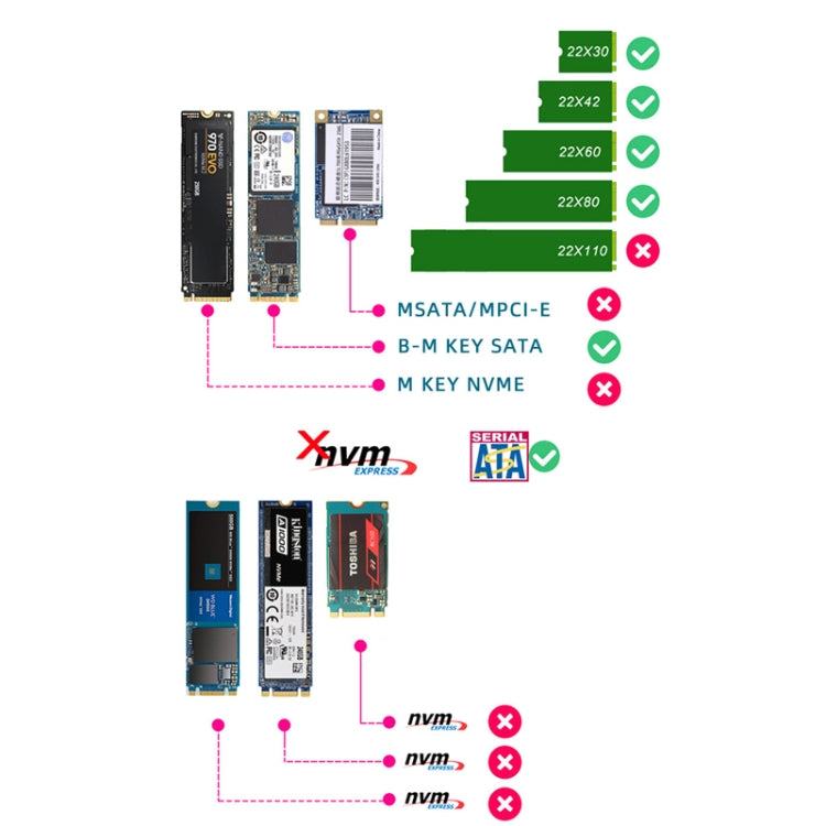 ENCNF2S-N01 Scheda di trasferimento da NGFF a SATA3 M.2 KEY B-M Adattatore di conversione interfaccia da SSD a 6 Gbps, With Baffle, With SATA 22pin Cable, Without Baffle