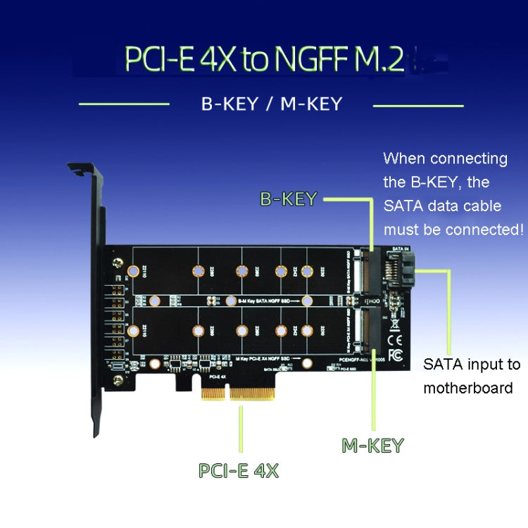 Scheda adattatore SSD PCIe M.2 PCIE 4x a M.2 Key M B Dual Interface Card, PCENGFF-N01