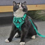 Imbracatura riflettente per cani e gatti traspirante