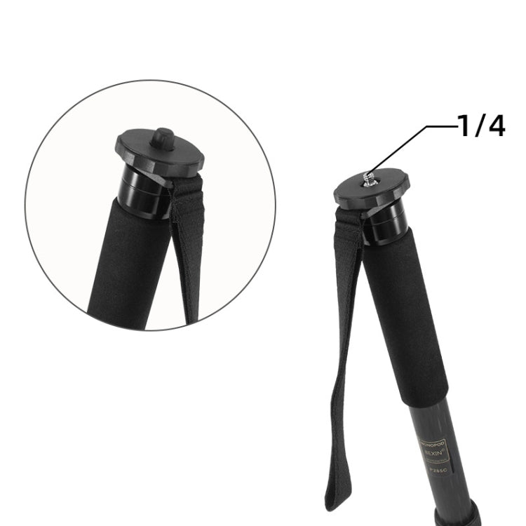 10pcs BEXIN G-02 Camera Tappo di protezione a vite da 1/4 di pollice per vite monopiede treppiede, G-02