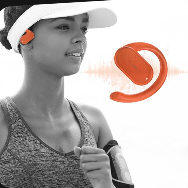 Auricolare Bluetooth HD313 Sportivo con Subwoofer
