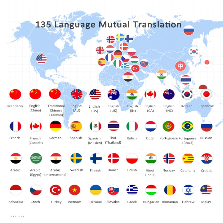 P40 Traduttore intelligente multilingue con foto e offline