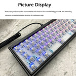 Kit tastiera meccanica personalizzata con retroilluminazione RGB cablata con albero hot swap, Beige, Black Transparent, Green Transparent, Purple Transparent