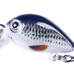 HENGJIA 2 pezzi 2,5 cm 1,5 g acqua galleggiante poco grasso micro-oggetto mini stampa 3D esca Luya