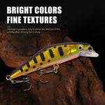 HENGJIA 5.7cm 3.4g Microbe Road Lures Slow Sinking Minnow Fake Bait, 1, 2, 3, 4, 5, 6, 7, 8, 9, 10, 10 Colors Bagged, 10 Colors Boxed